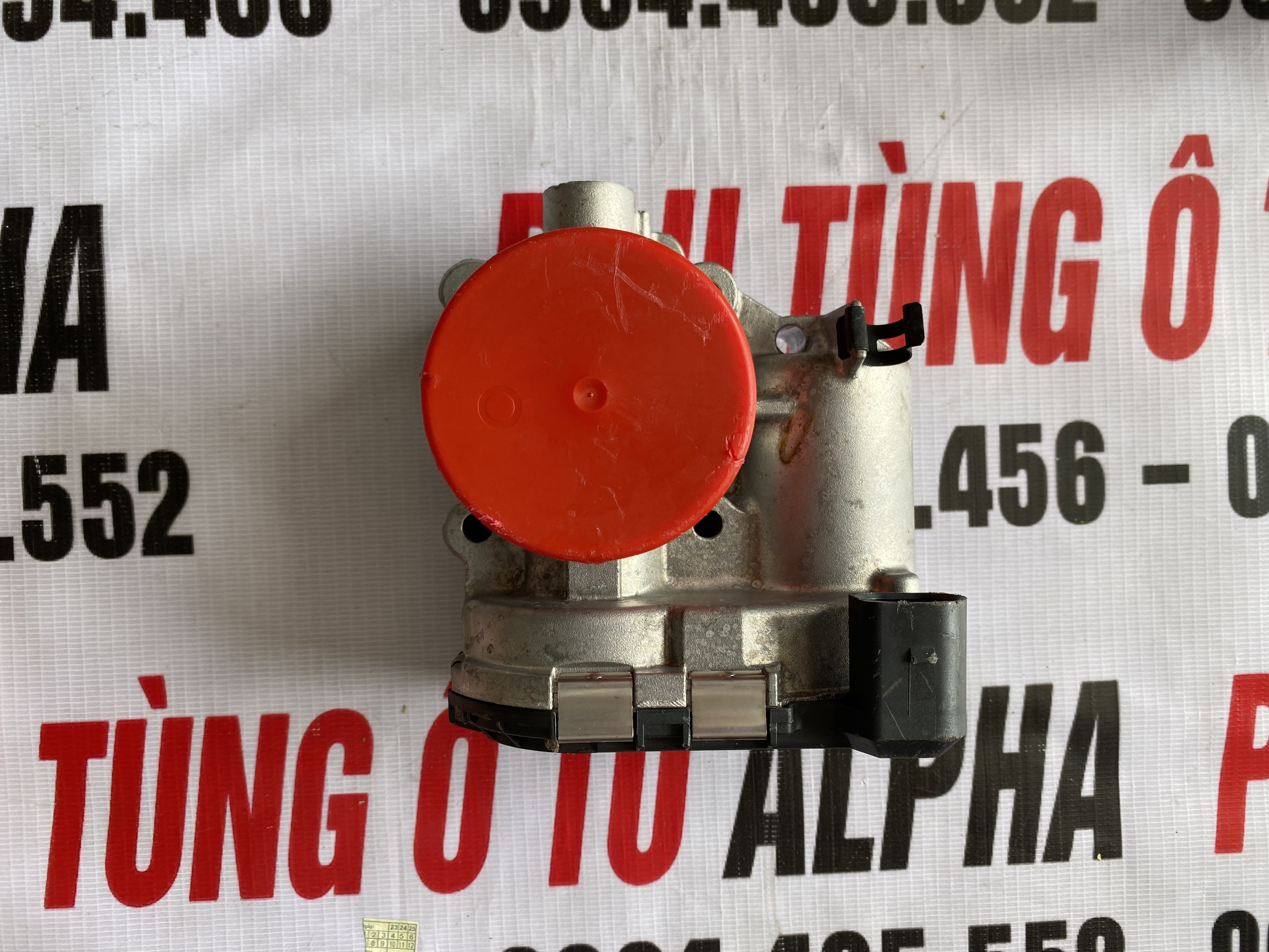 cụm bướm ga eco